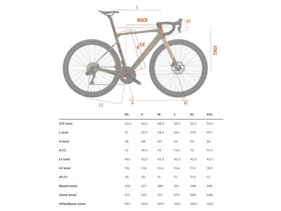 Wilier Rave SL Allroad Frameset Black Silver click to zoom image