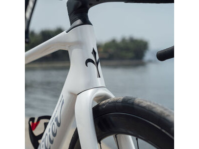 Wilier Rapida 105 White Glossy click to zoom image