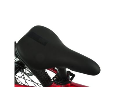Hoy Pentland 20" Kids Bike click to zoom image