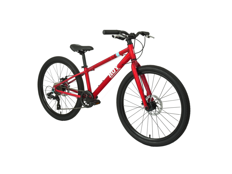 Hoy Pentland 24" Kids Bike click to zoom image